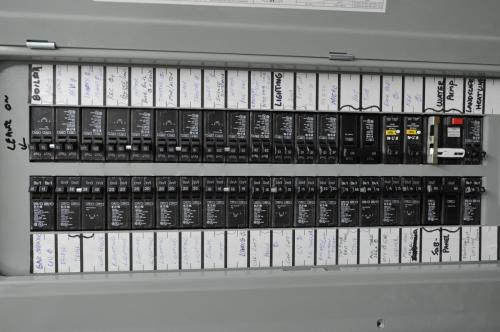 DSC 5453